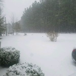 Meet your Posher, Casey